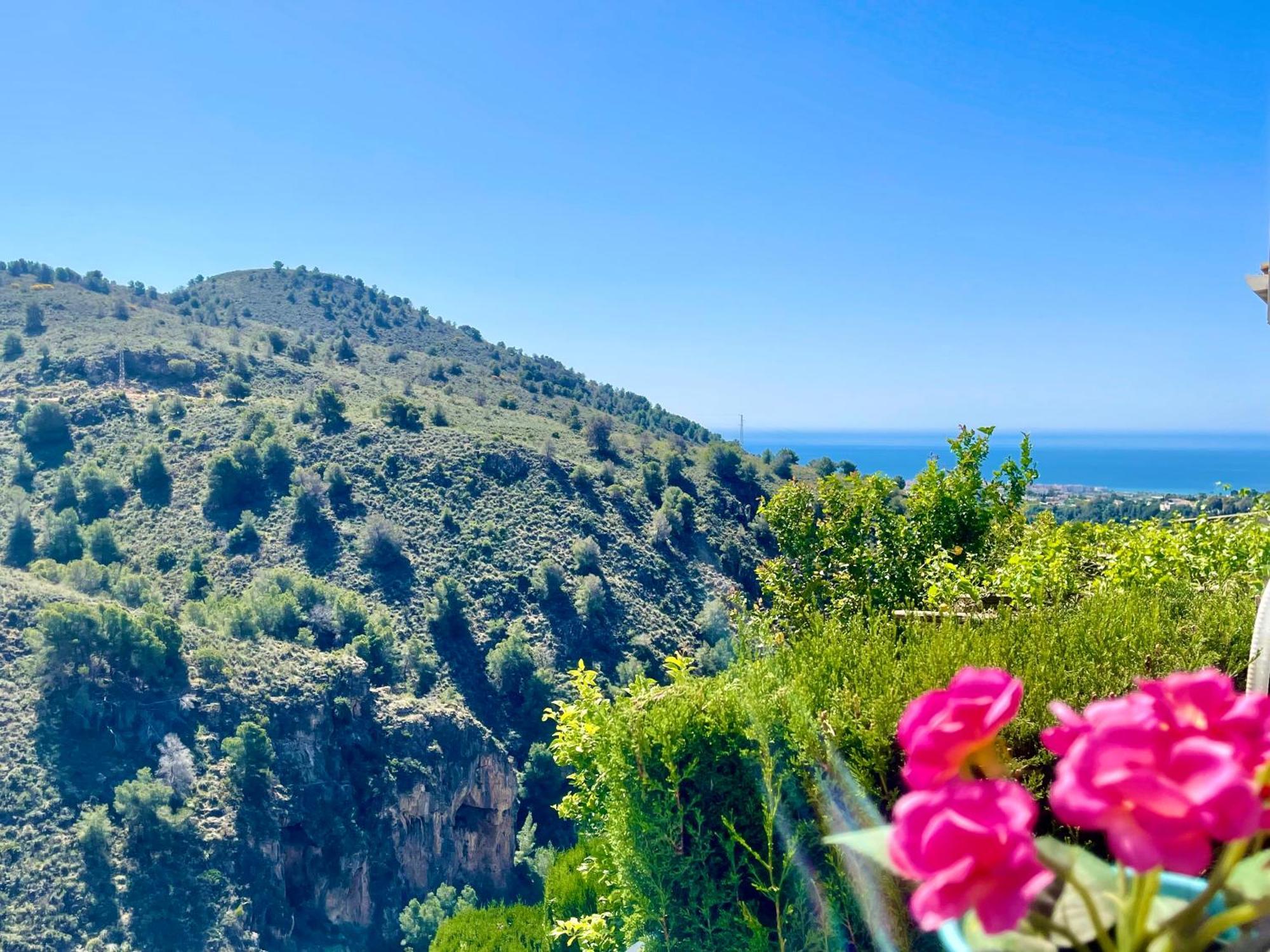Apartamentos Axarquia 1, terraza privada con vistas a la montaña rio y al mar Frigiliana Exterior foto